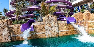 VIP Atlantis Aquaventure Waterpark Experience