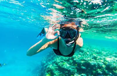 VIP Fujairah Snorkel Escape – Underwater in the Arabian Sea – Private Tour