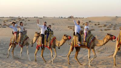 VIP Night Safari & Astronomy Private Tour